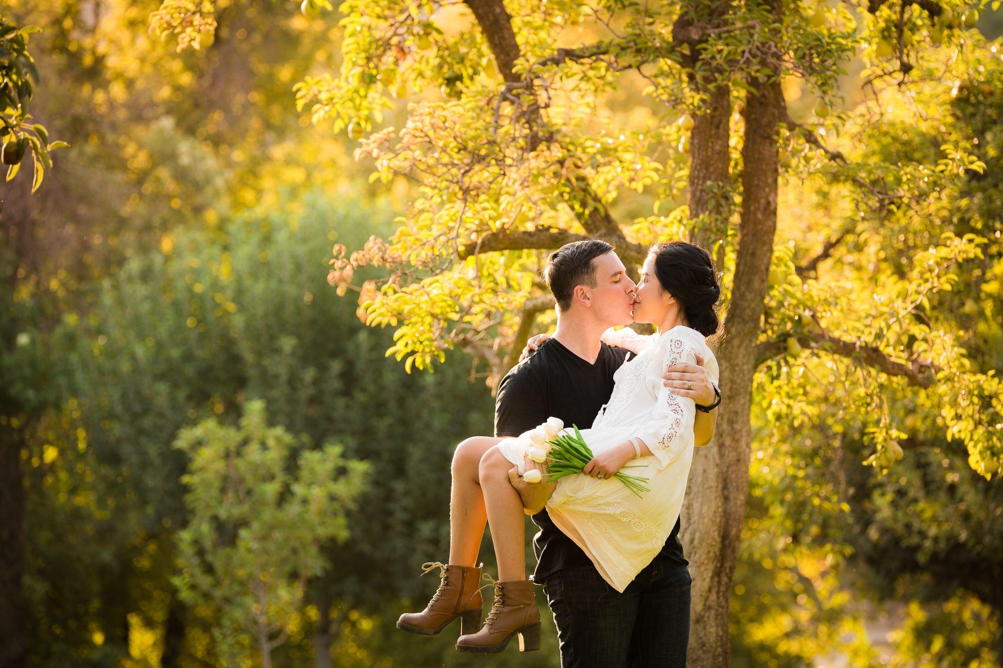 carousel-hero-element image-7