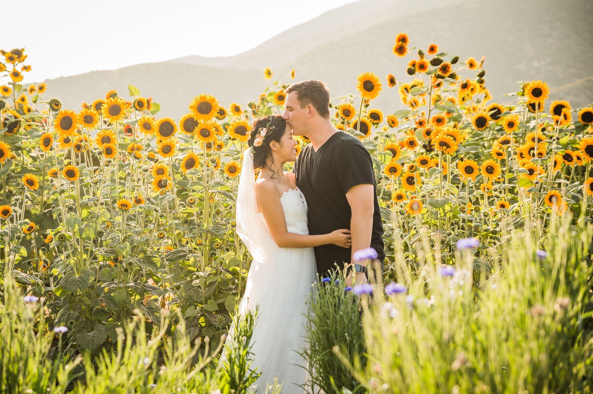 carousel-hero-element image-0